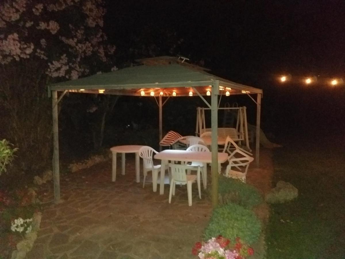 Garden Basement - Seminterrato Max 4 Ospiti - Fiumicino Vicino Aeroporto E Fiera Apartman Kültér fotó