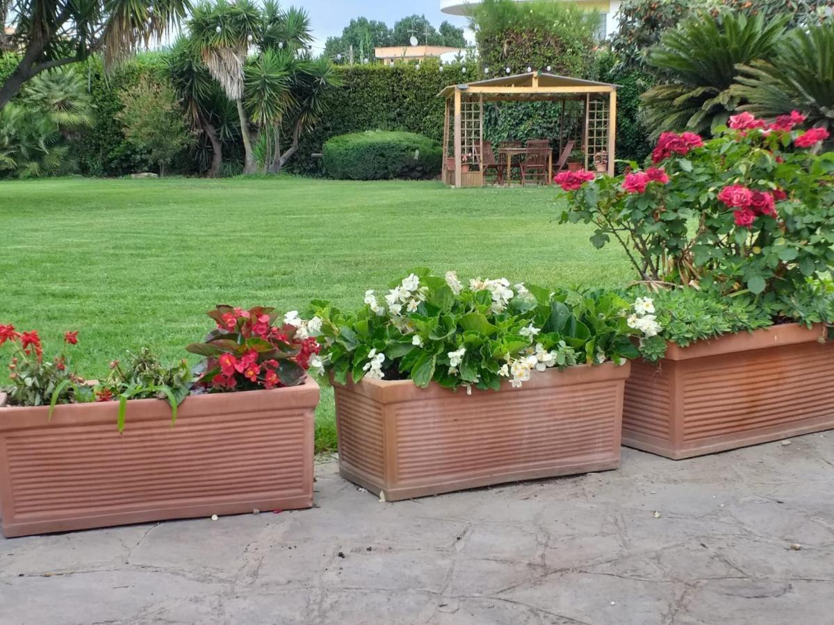 Garden Basement - Seminterrato Max 4 Ospiti - Fiumicino Vicino Aeroporto E Fiera Apartman Kültér fotó